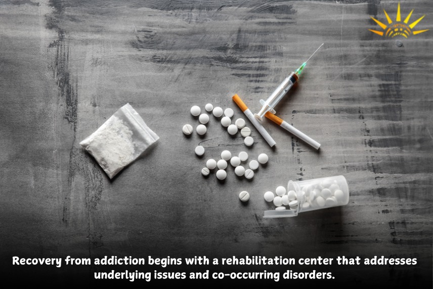 Therapy Centre