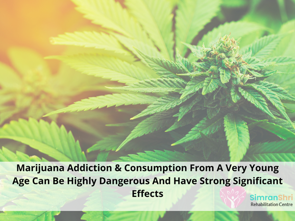 Marijuana Addiction Its Effects on Your Body and Brai